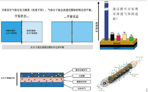 內含中空纖維的高分子膜的SR CMD滲膜式干燥管原理