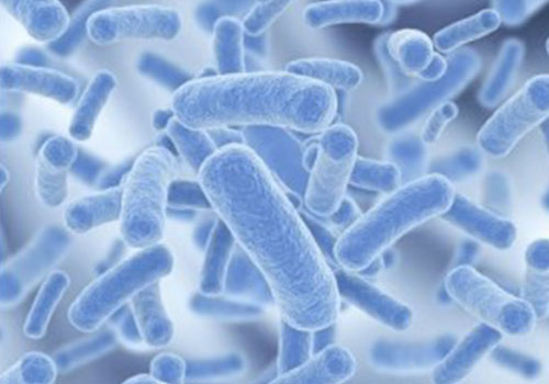 壓縮空氣在發酵行業的應用 壓縮空氣在發酵行業的應用