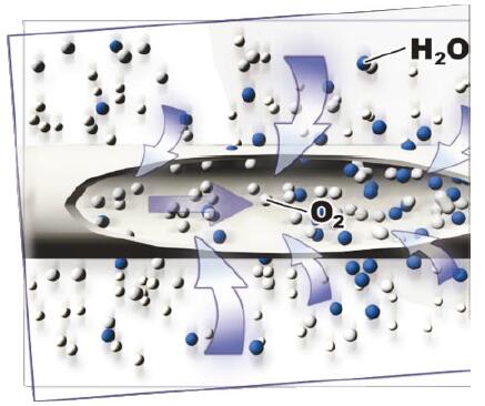 水分子和氧分子在SR醫療制氧機用氧氣加濕器的中空纖維膜絲流向 水分子和氧分子在SR醫療制氧機用氧氣加濕器的中空纖維膜絲流向